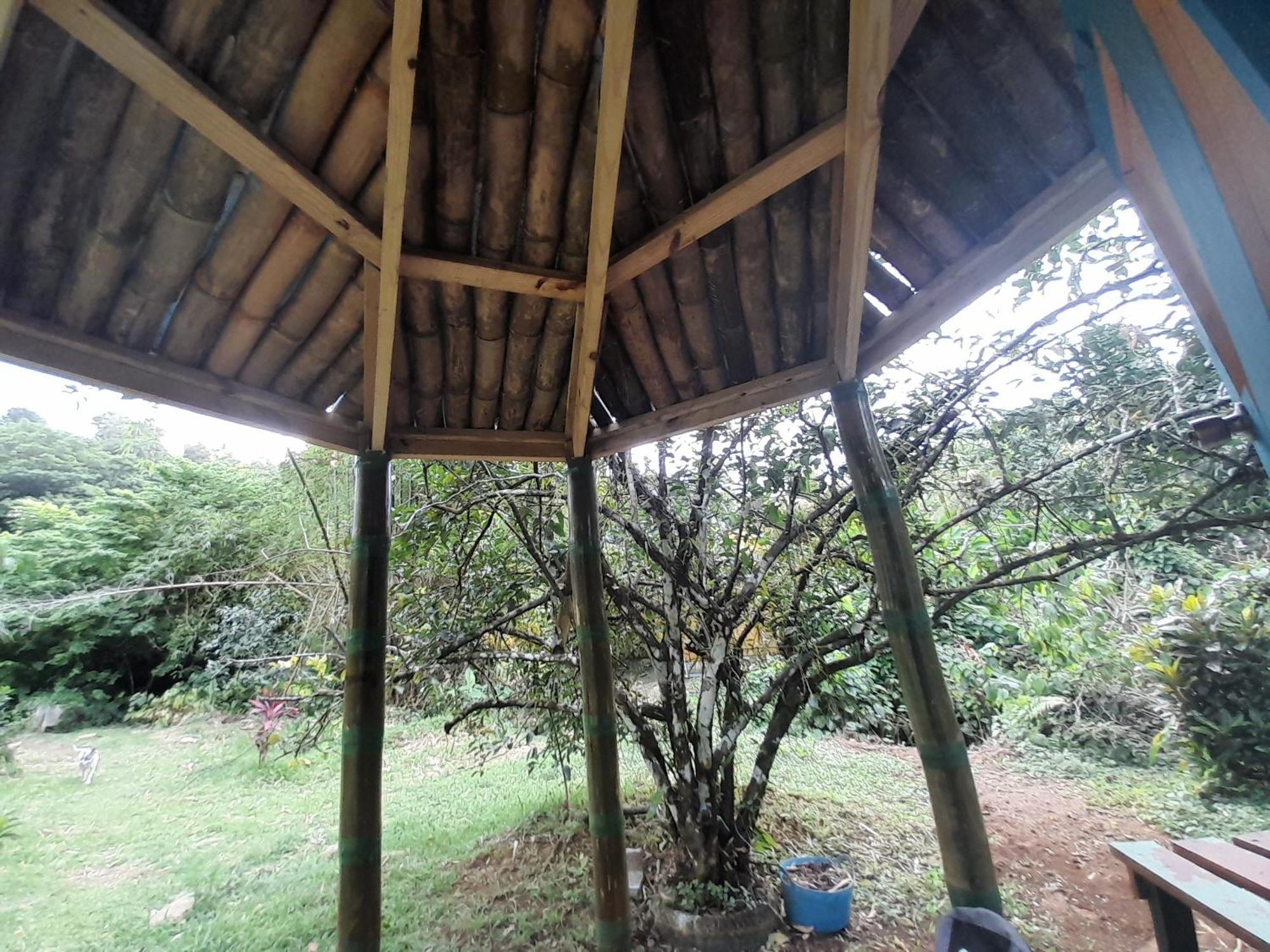 3 Rivers Eco Lodge Rosalie Pokój zdjęcie