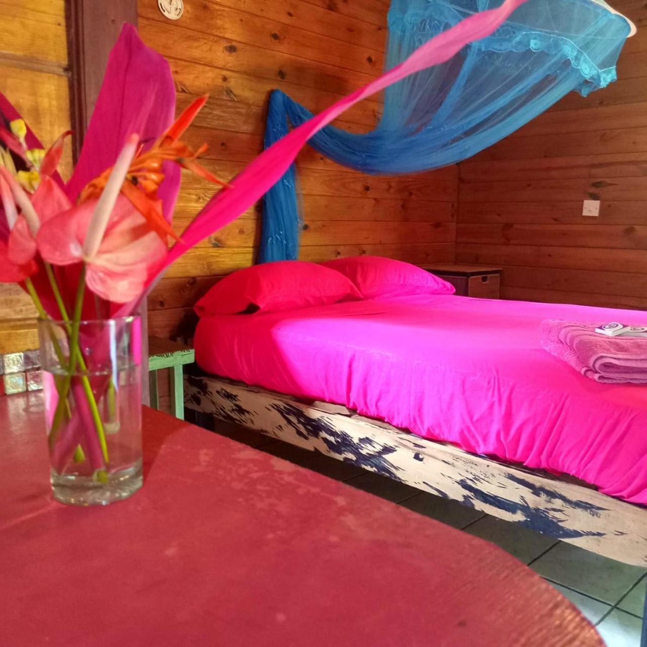 3 Rivers Eco Lodge Rosalie Zewnętrze zdjęcie