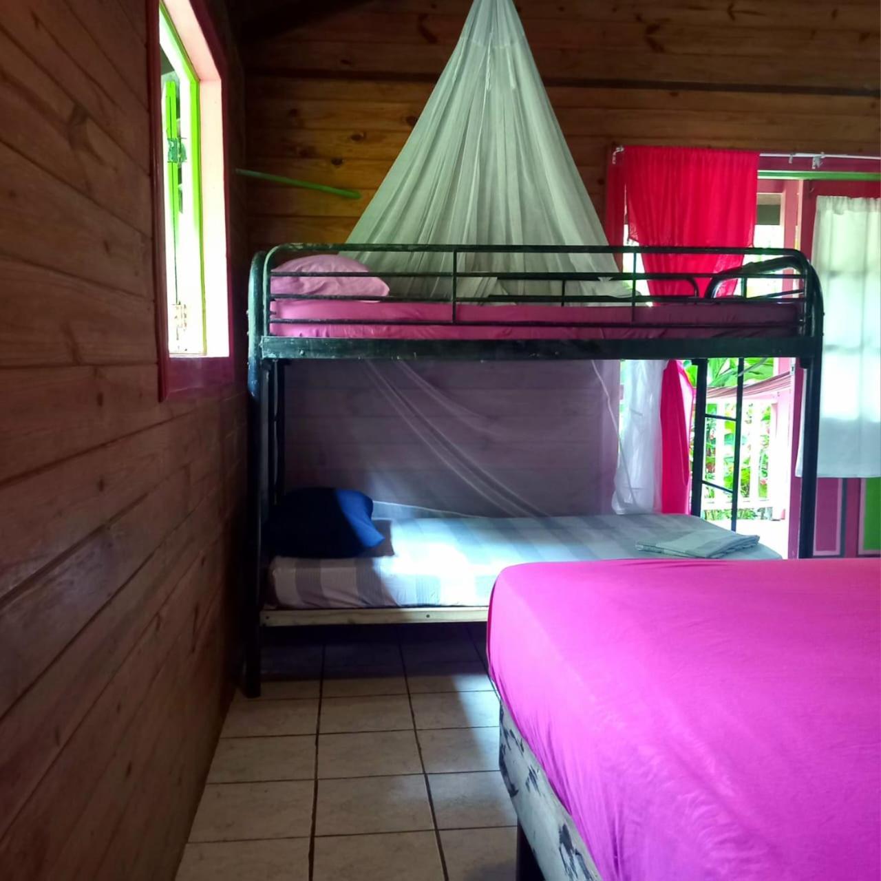 3 Rivers Eco Lodge Rosalie Zewnętrze zdjęcie